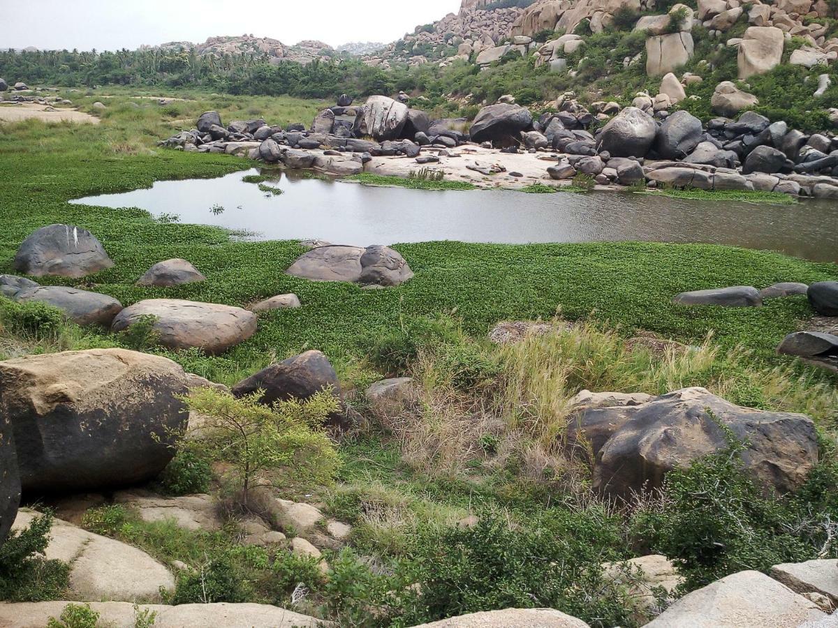 Riverside Homestay Hampi Exteriér fotografie